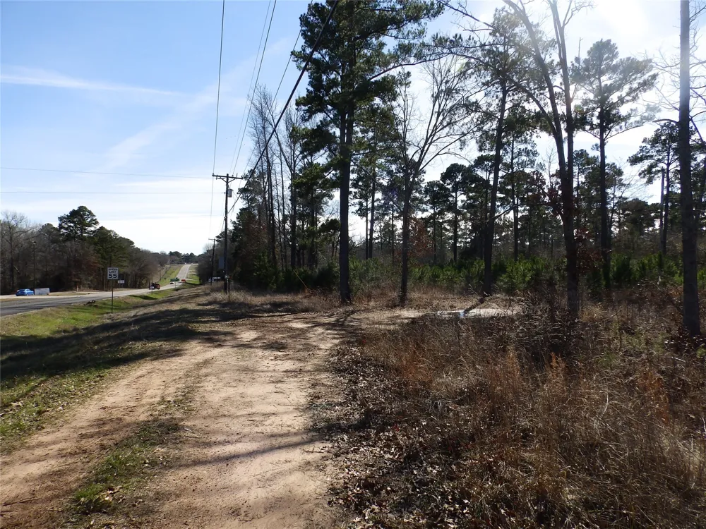 20175 S Hwy 155 LOT E1 Flint, TX 75762