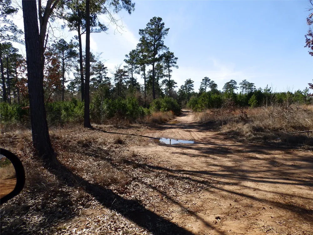 20175 S Hwy 155 LOT E1 Flint, TX 75762