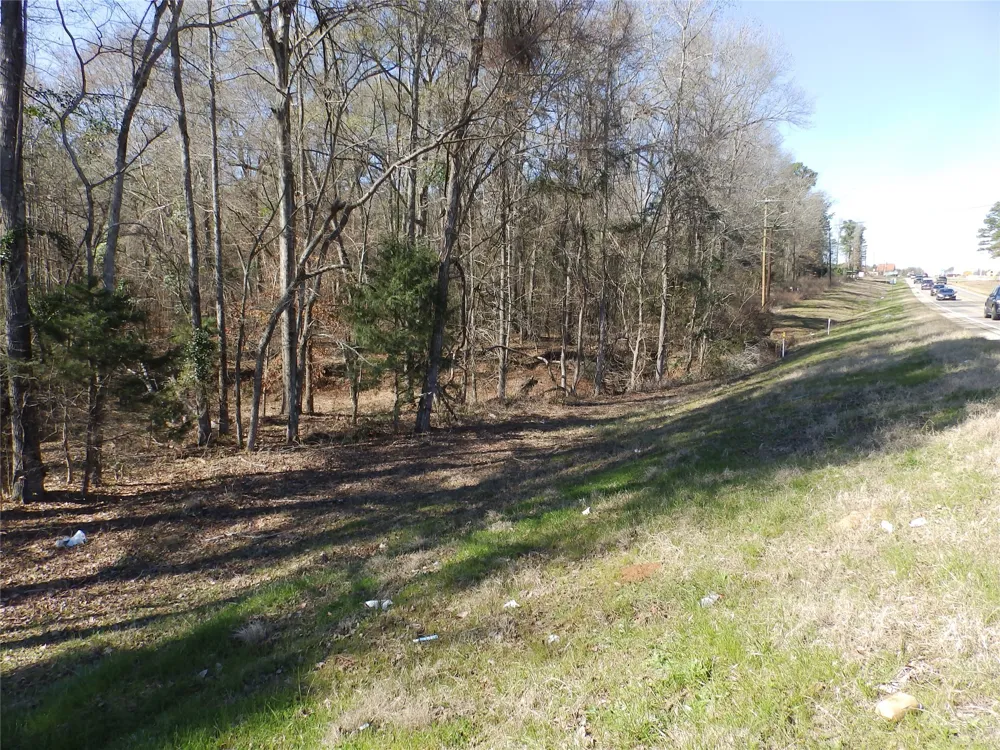 20175 S Hwy 155 LOT E1 Flint, TX 75762