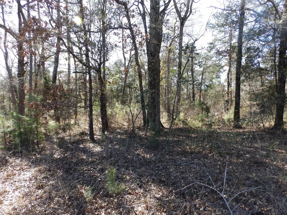 20175 S Hwy 155 LOT E1 Flint, TX 75762