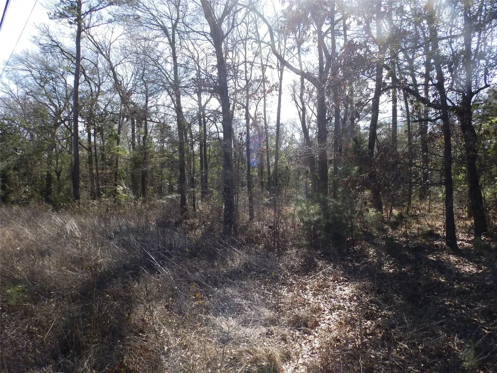 20175 S Hwy 155 LOT E1 Flint, TX 75762