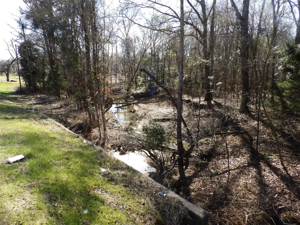 20175 S Hwy 155 LOT E1 Flint, TX 75762