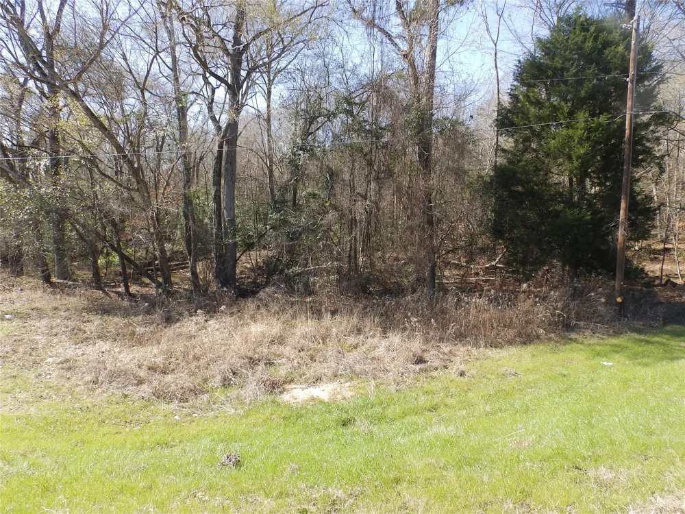 20175 S Hwy 155 LOT E1 Flint, TX 75762