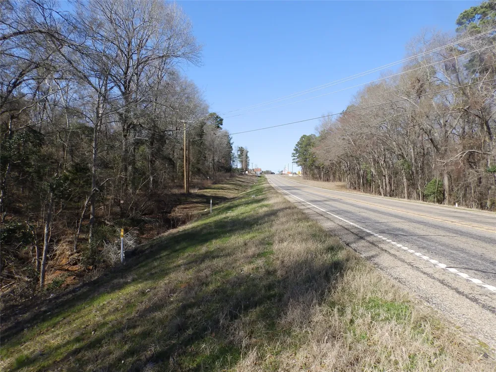 20175 S Hwy 155 LOT E1 Flint, TX 75762