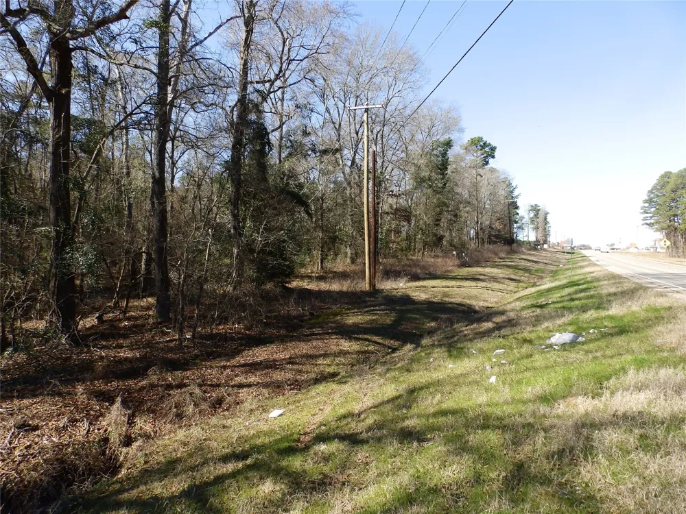 20175 S Hwy 155 LOT E1 Flint, TX 75762