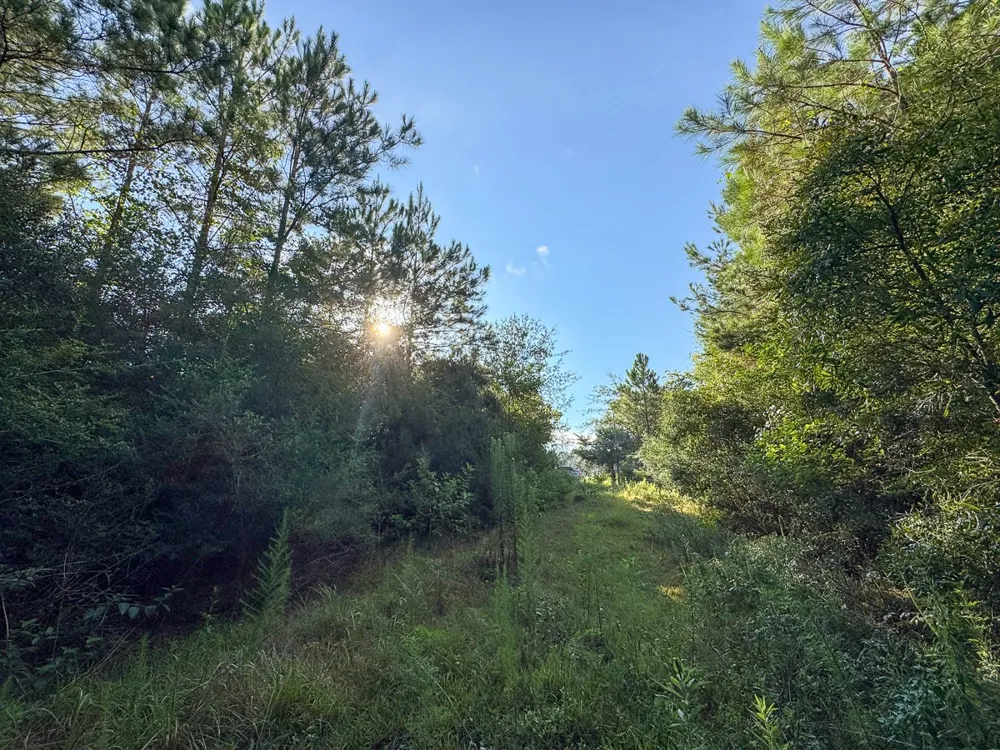 2 Edgerly Road Lake Charles, LA 70633