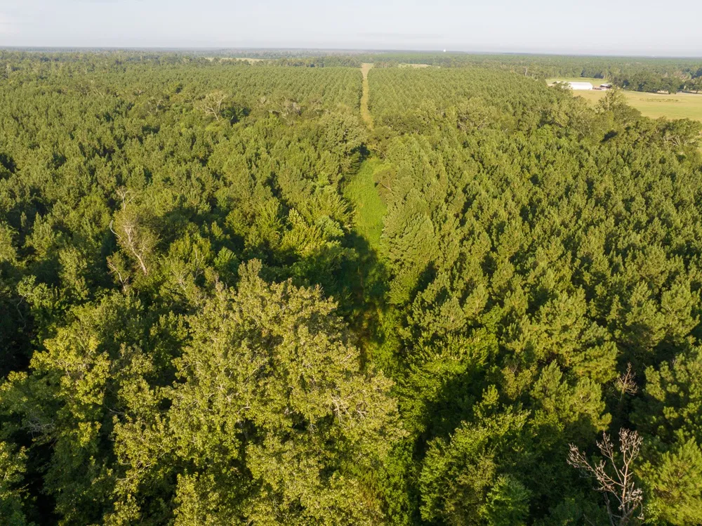 2 Edgerly Road Lake Charles, LA 70633