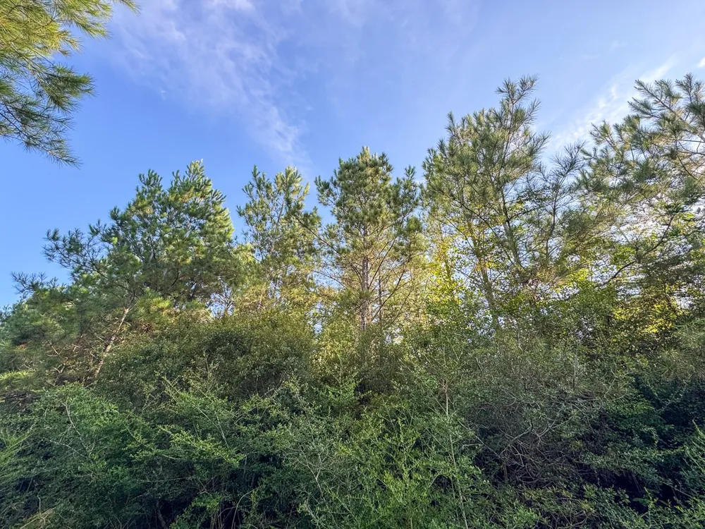 2 Edgerly Road Lake Charles, LA 70633
