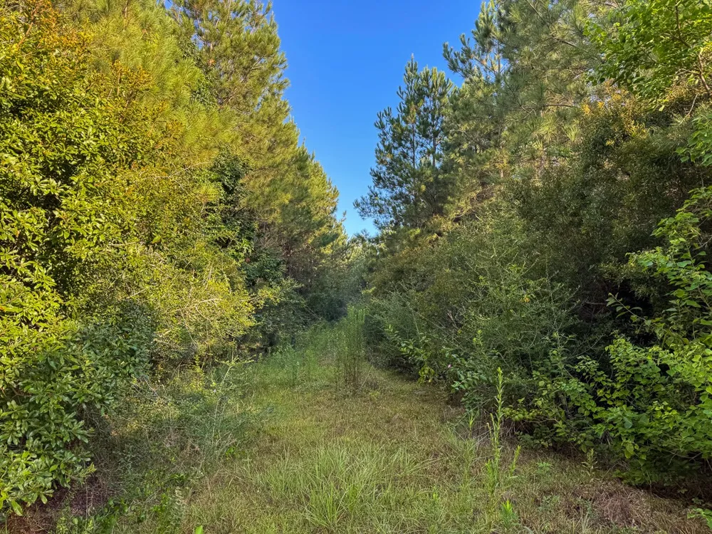 1 Edgerly Road Lake Charles, LA 70633