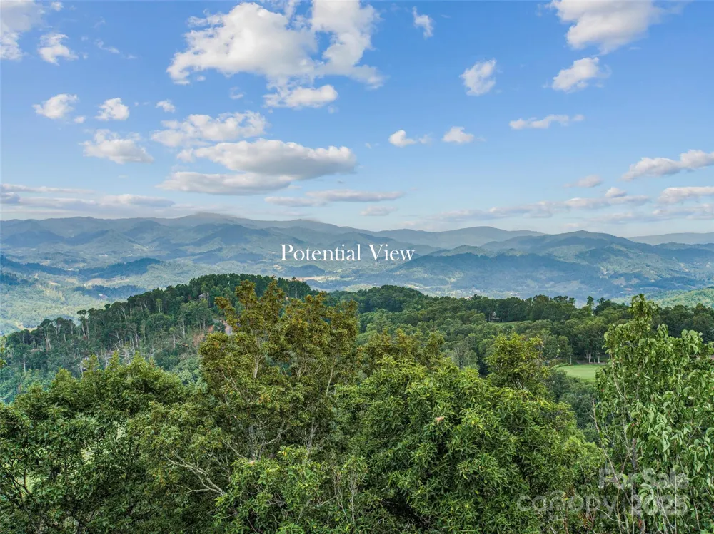 Lot 84 Ridgepoint View #84/1 Burnsville, NC 28714