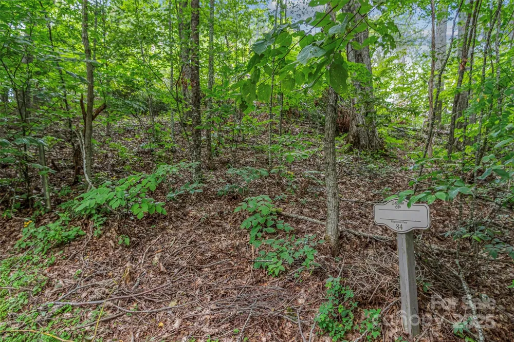 Lot 84 Ridgepoint View #84/1 Burnsville, NC 28714