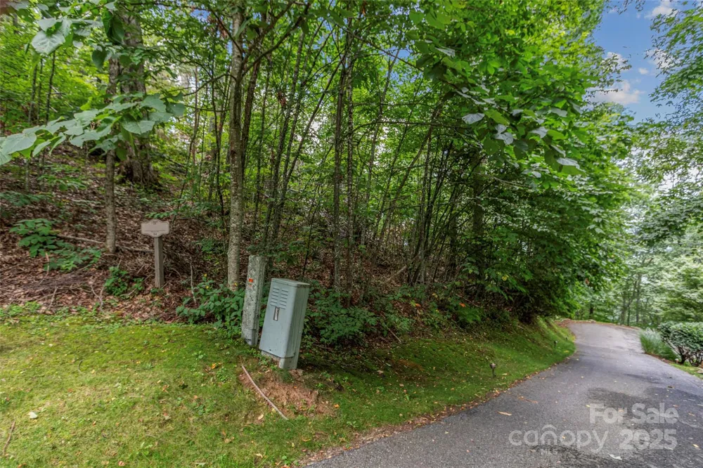 Lot 84 Ridgepoint View #84/1 Burnsville, NC 28714