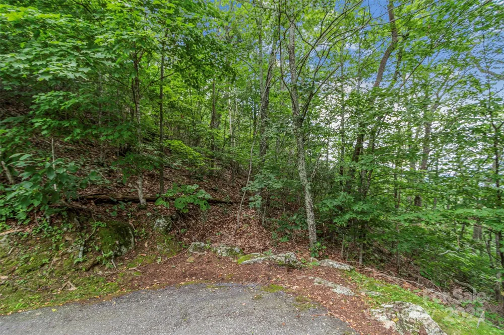 Lot 84 Ridgepoint View #84/1 Burnsville, NC 28714