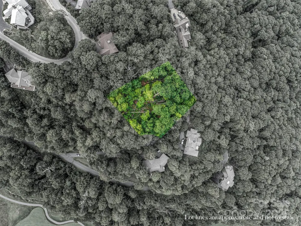 Lot 84 Ridgepoint View #84/1 Burnsville, NC 28714