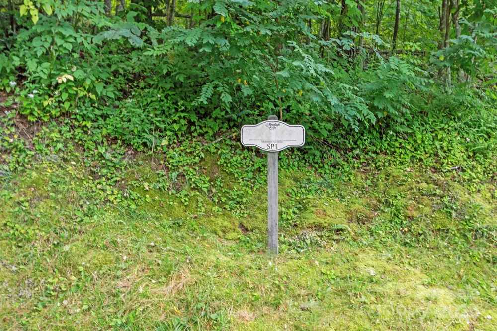 Special Parcel 1 Mountain Air Drive Burnsville, NC 28714