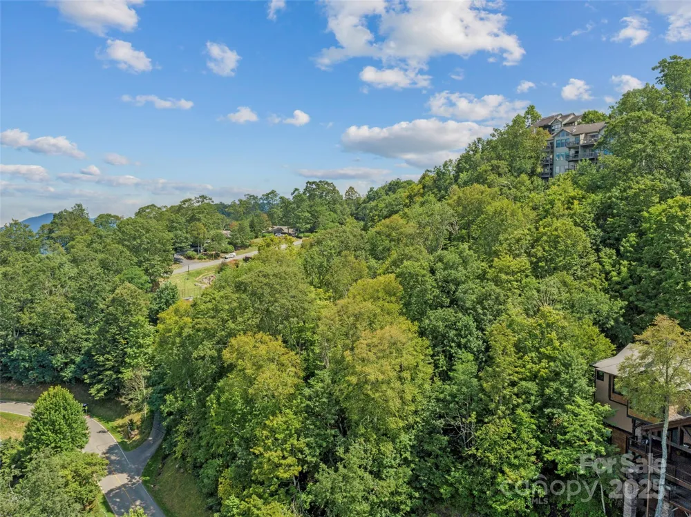 Special Parcel 1 Mountain Air Drive Burnsville, NC 28714