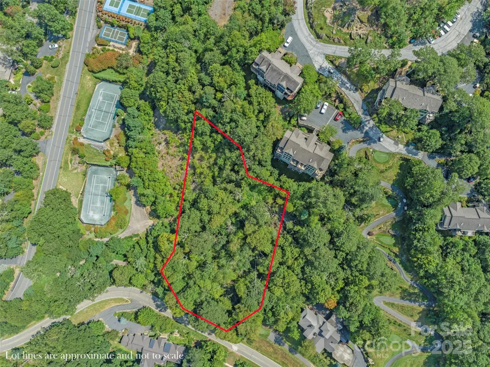 Special Parcel 1 Mountain Air Drive Burnsville, NC 28714