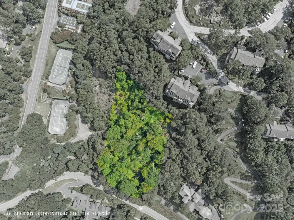 Special Parcel 1 Mountain Air Drive Burnsville, NC 28714