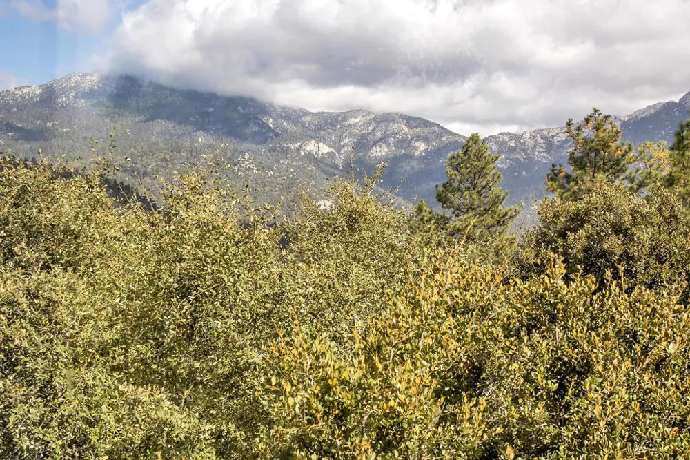 53010 Inspiration Lane Idyllwild, CA 92549