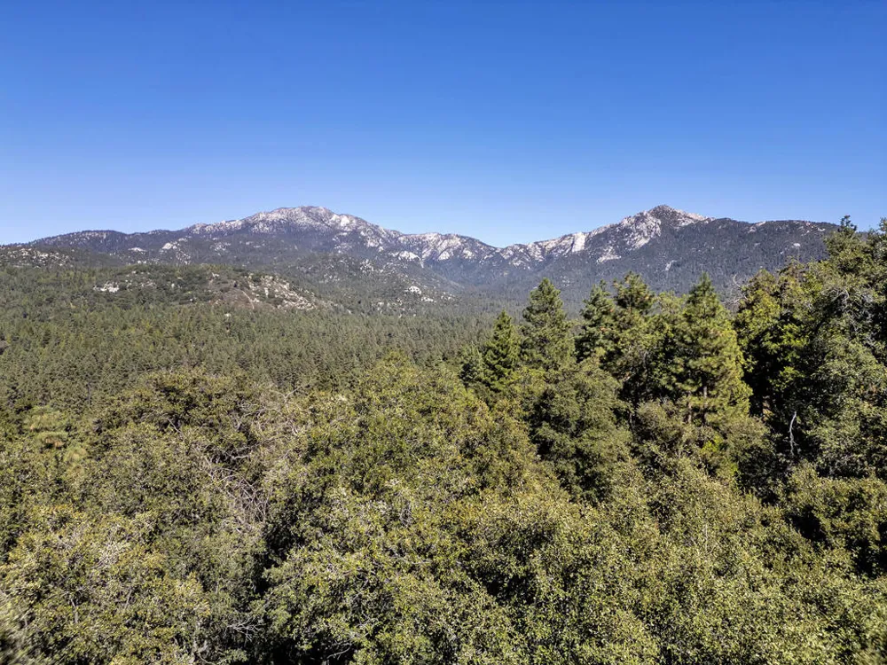 53010 Inspiration Lane Idyllwild, CA 92549