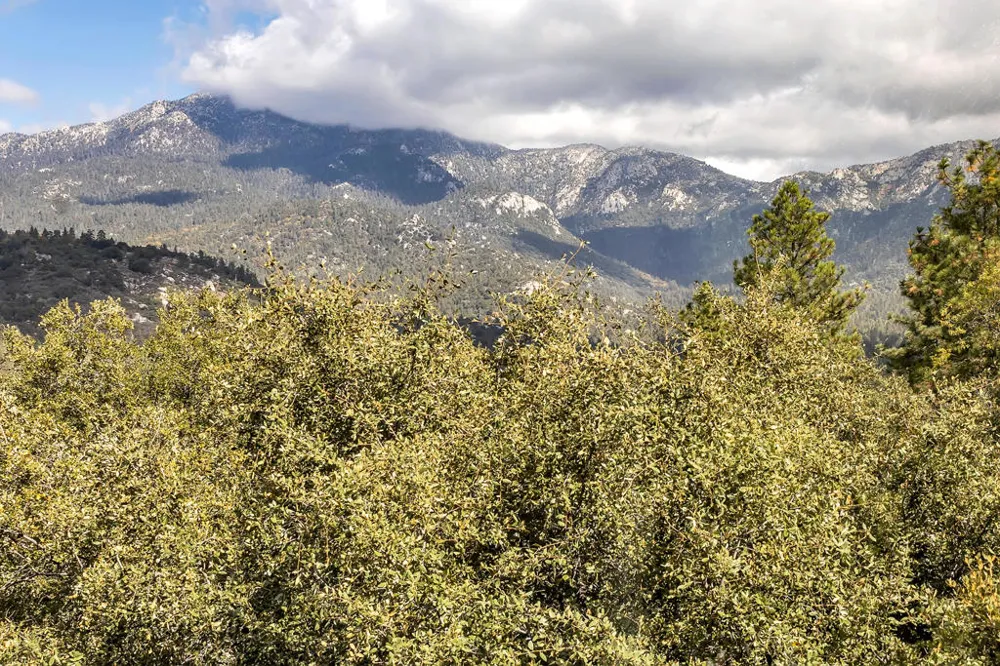 53010 Inspiration Lane Idyllwild, CA 92549