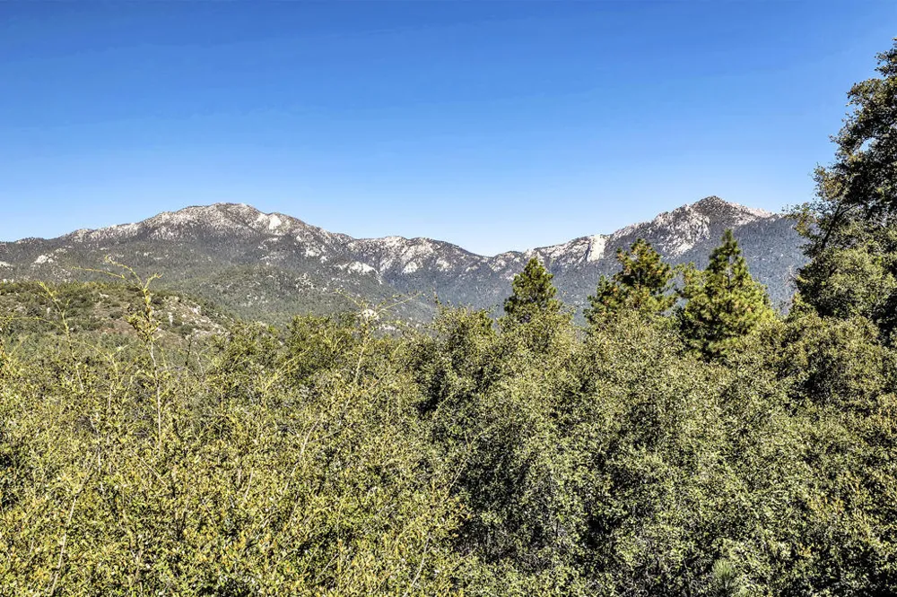 53010 Inspiration Lane Idyllwild, CA 92549
