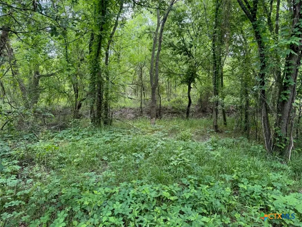 212 Cr 362 Rosebud, TX 76570