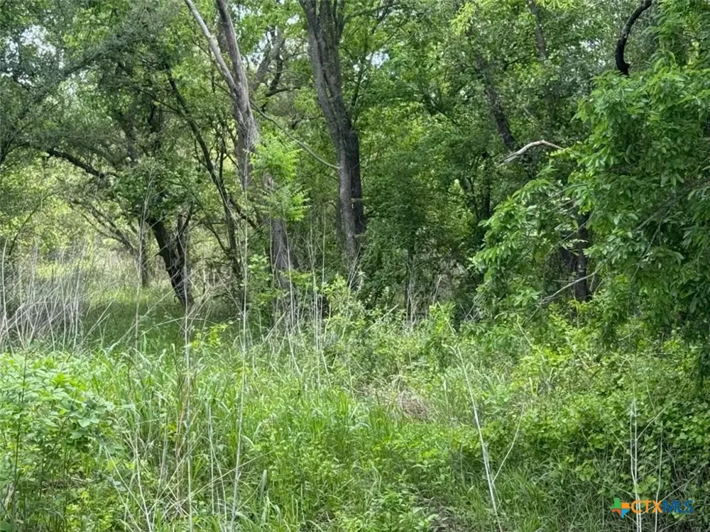 212 Cr 362 Rosebud, TX 76570