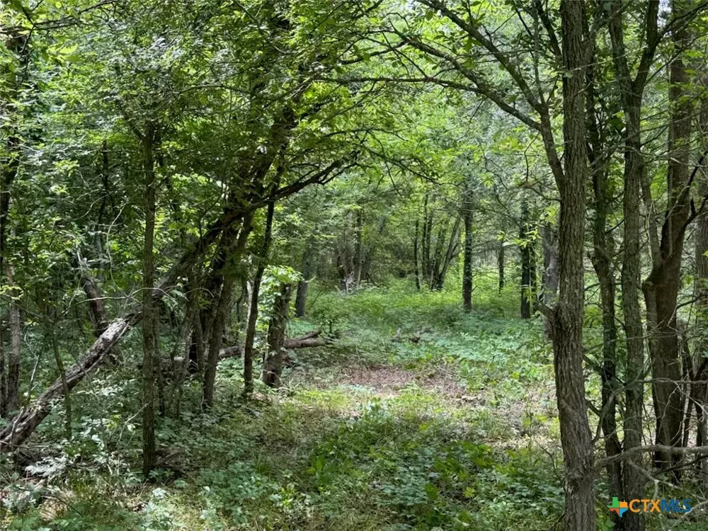 212 Cr 362 Rosebud, TX 76570