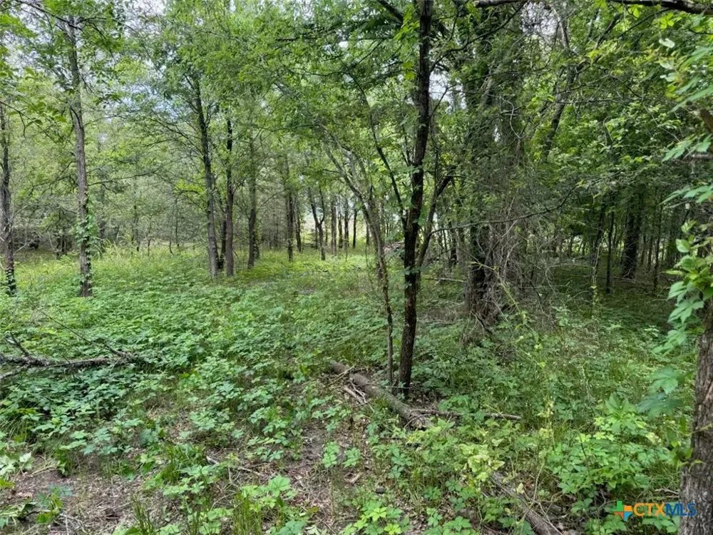 212 Cr 362 Rosebud, TX 76570
