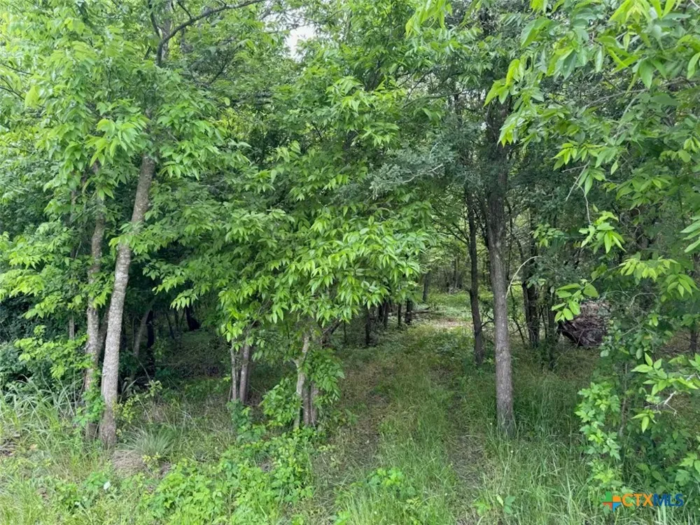 212 Cr 362 Rosebud, TX 76570
