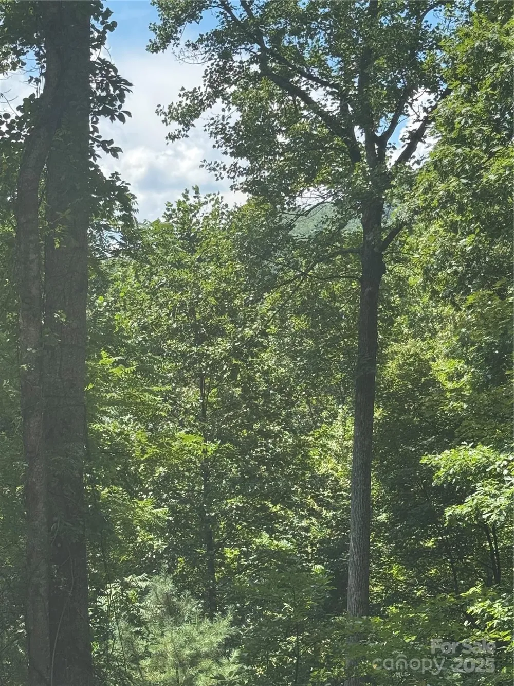 23 Red Oak Drive Mills River, NC 28759