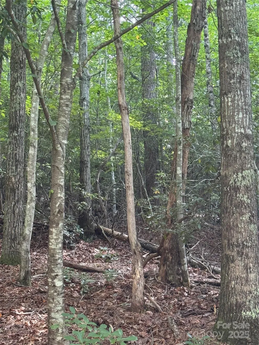 23 Red Oak Drive Mills River, NC 28759