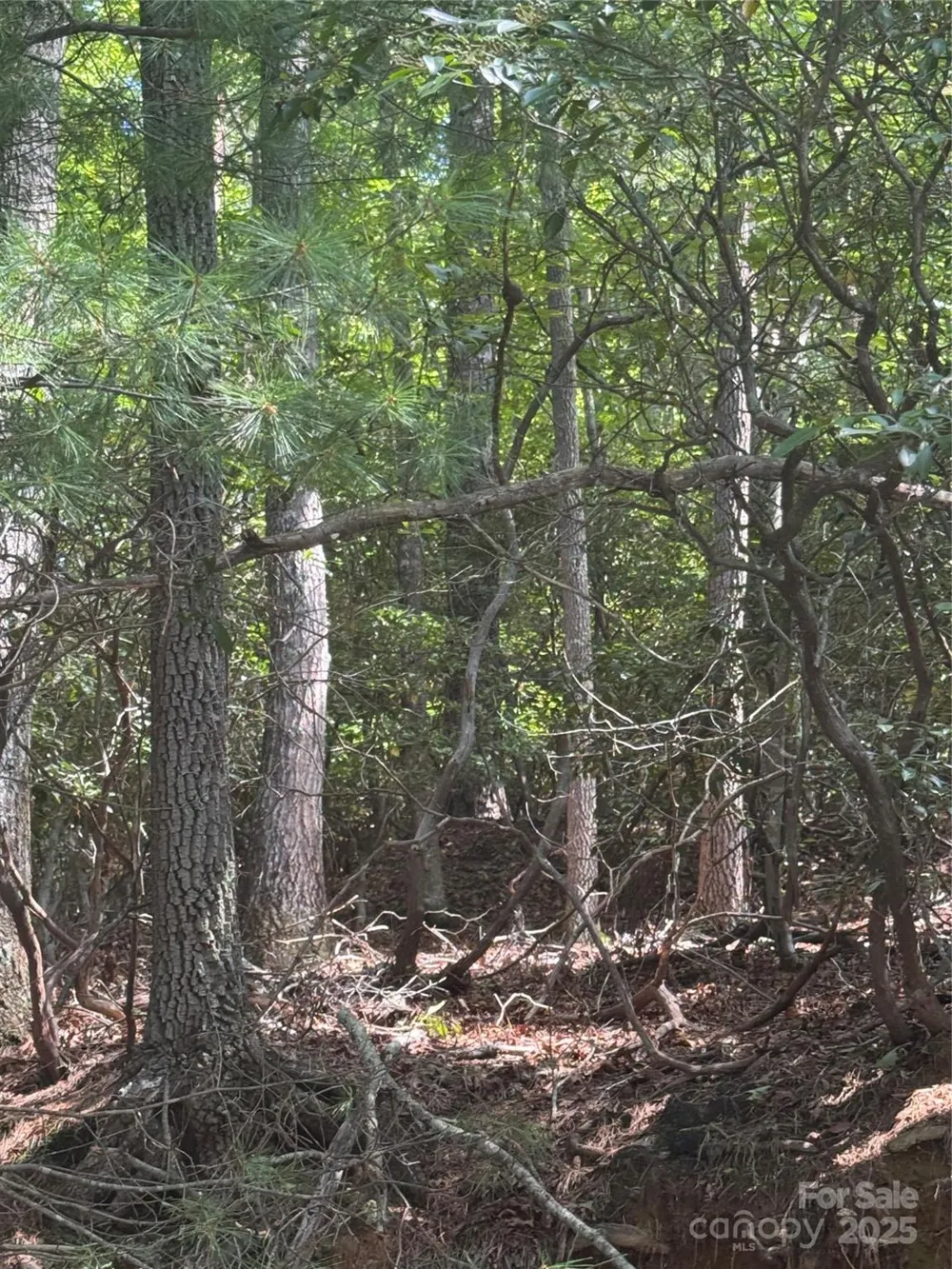 23 Red Oak Drive Mills River, NC 28759