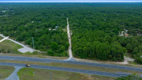 RACHEL AVE & HWY 19 N