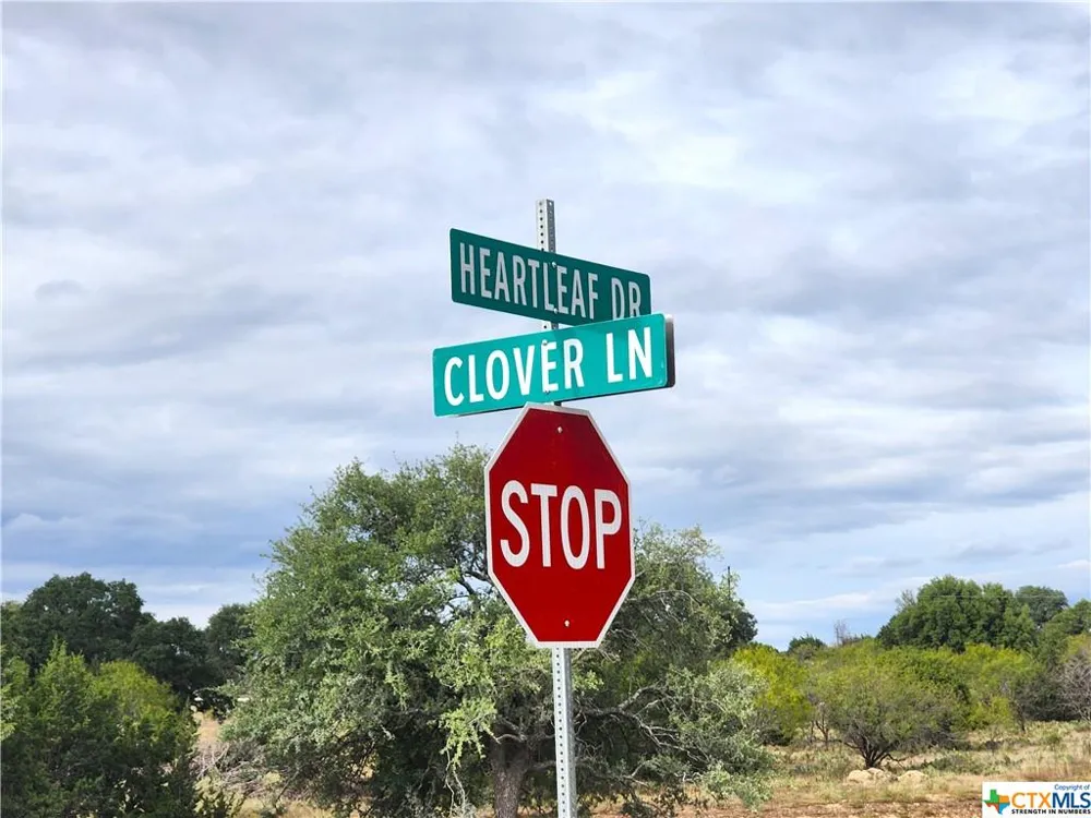 175 Heartleaf Drive Lampasas, TX 76550