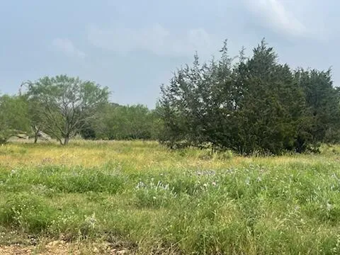 175 Heartleaf Drive Lampasas, TX 76550