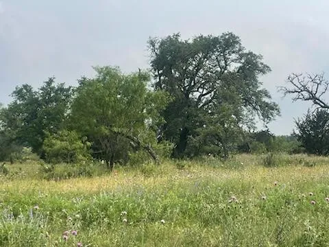 175 Heartleaf Drive Lampasas, TX 76550