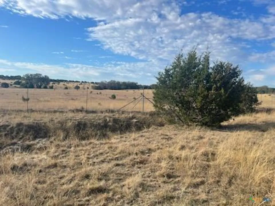 175 Heartleaf Drive Lampasas, TX 76550