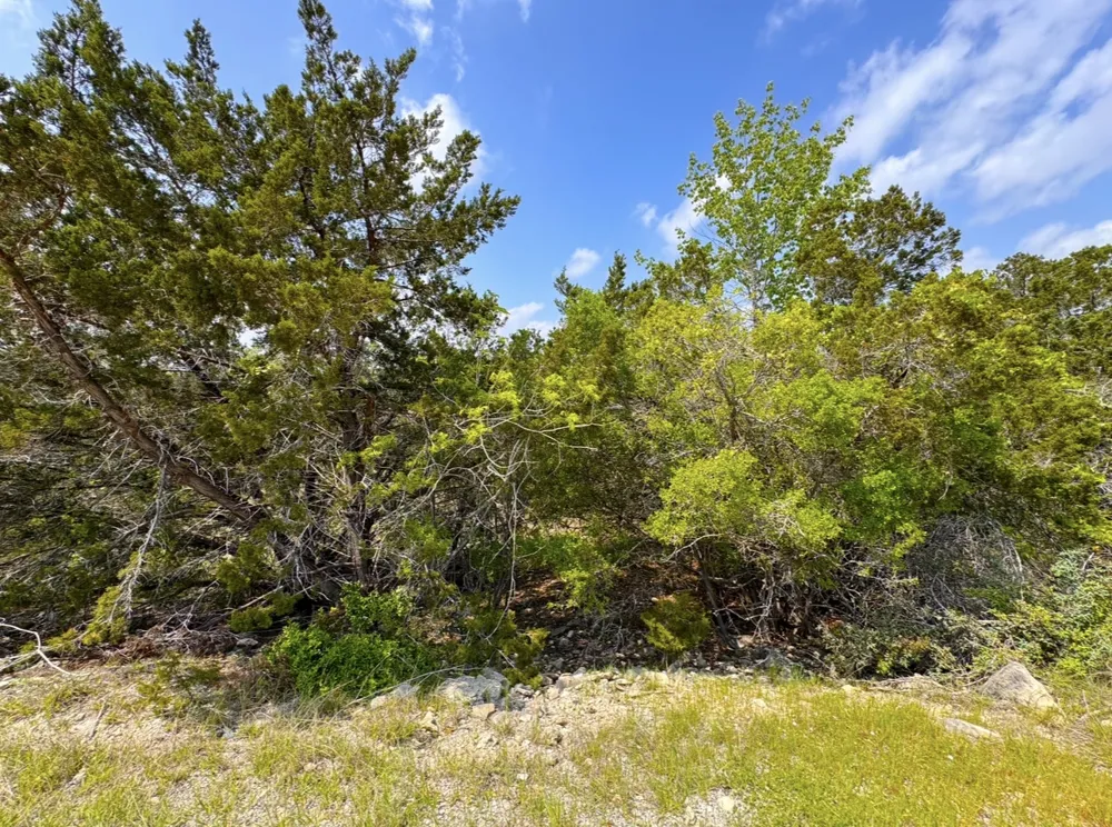 985 Oblate Drive Canyon Lake, TX 78133