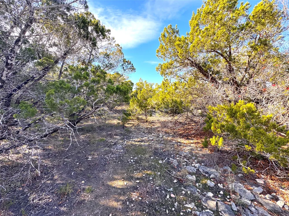 985 Oblate Drive Canyon Lake, TX 78133