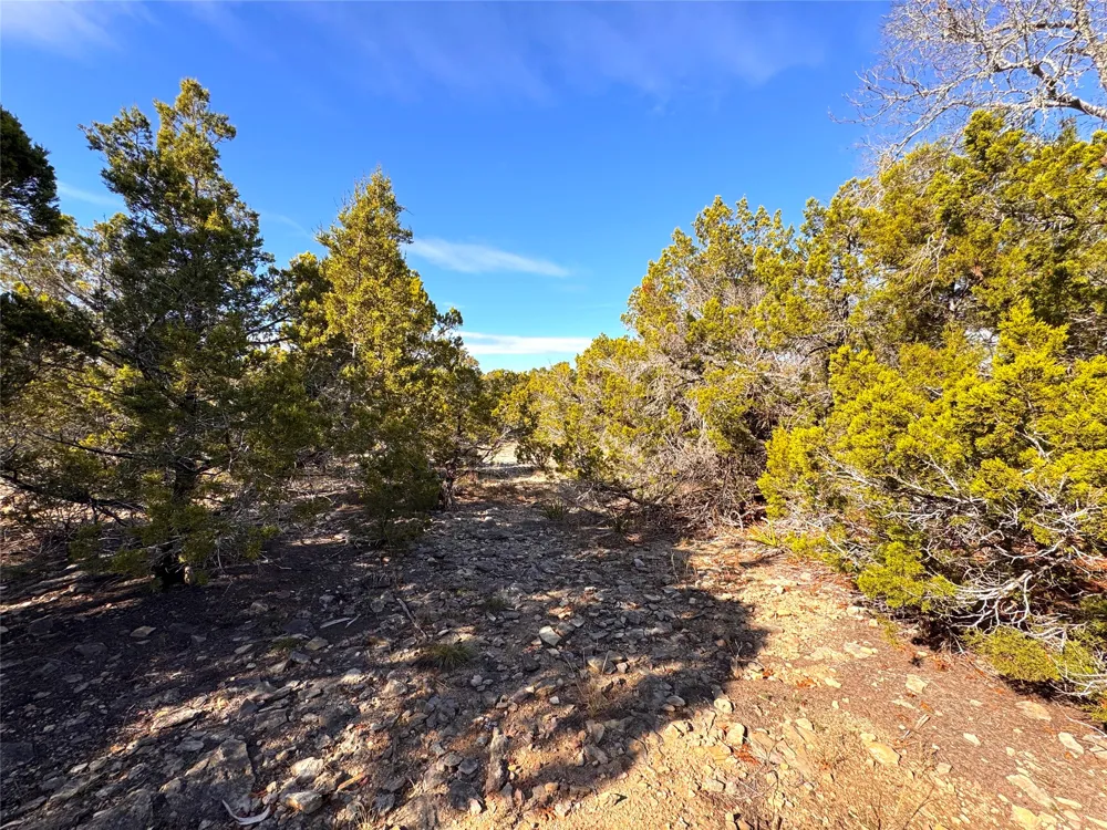 985 Oblate Drive Canyon Lake, TX 78133