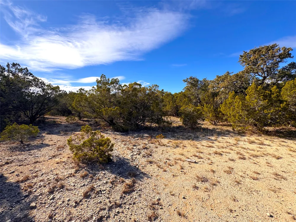 985 Oblate Drive Canyon Lake, TX 78133
