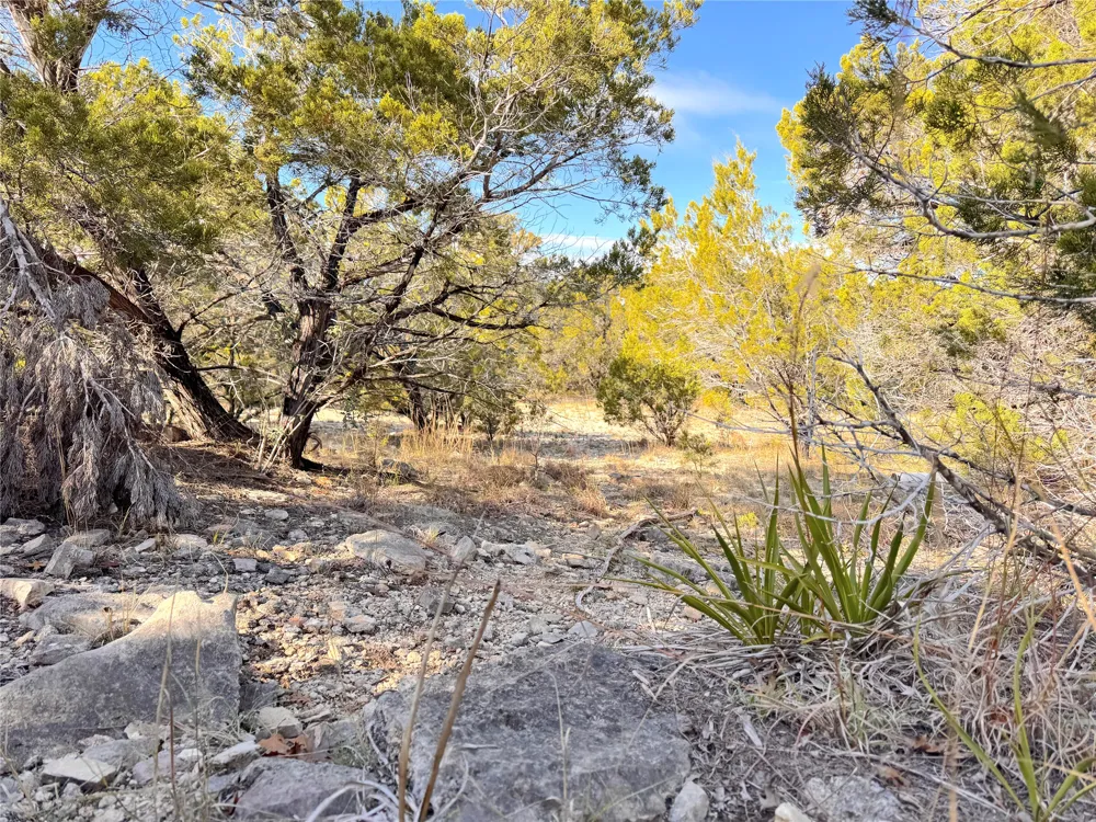 985 Oblate Drive Canyon Lake, TX 78133