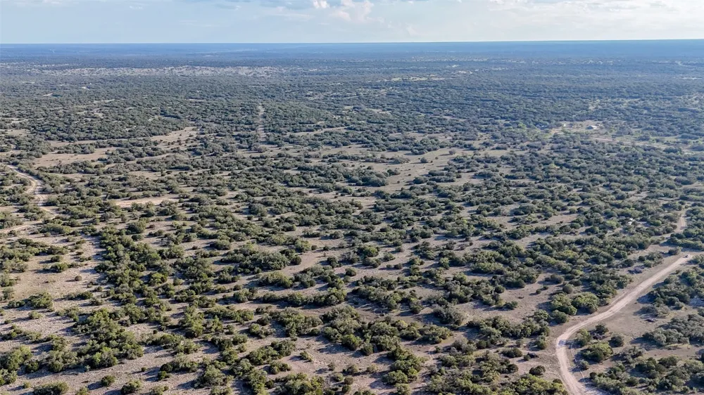 1595 Blackbuck Drive E Eldorado, TX 76935