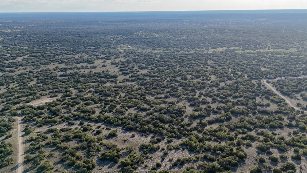 1595 Blackbuck Drive E Eldorado, TX 76935