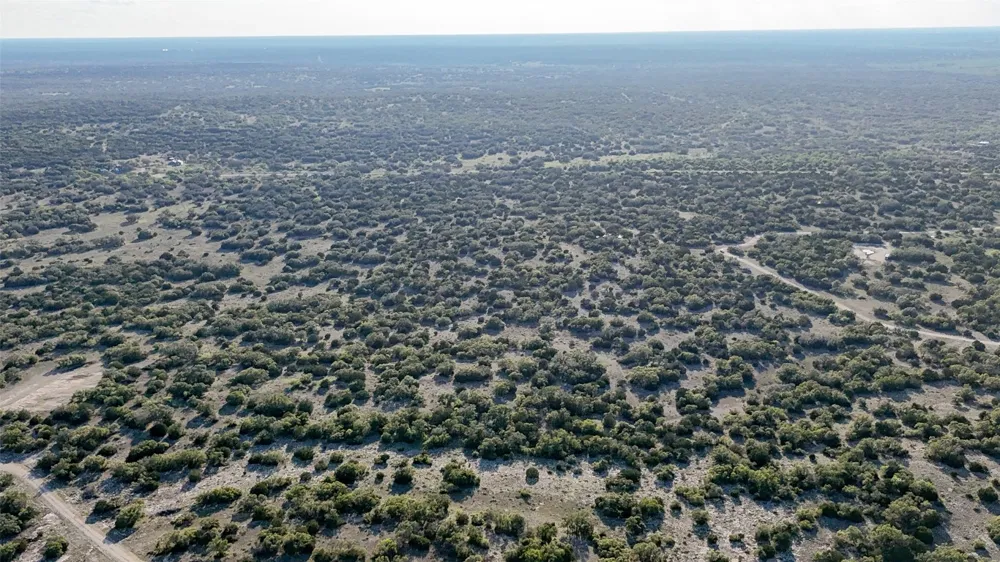 1595 Blackbuck Drive E Eldorado, TX 76935