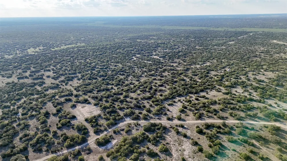 1595 Blackbuck Drive E Eldorado, TX 76935