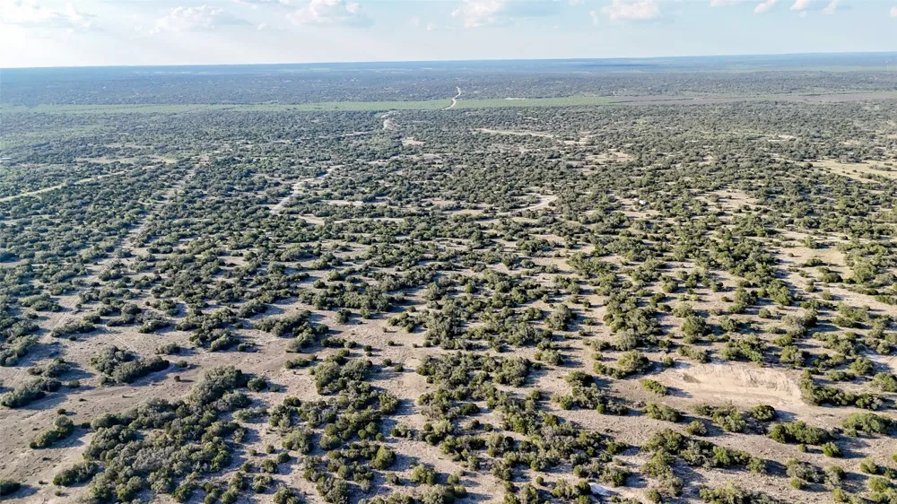 1595 Blackbuck Drive E Eldorado, TX 76935