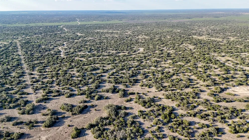 1595 Blackbuck Drive E Eldorado, TX 76935